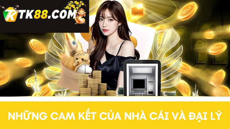 Giới thiệu TK88 cam kết của nhà cái